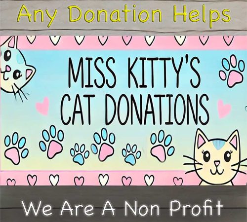 cat-rescue-donations-pasco-county-fl-sfw